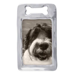 Mariposa Brillante Dog Bone 4 X 6 Frame